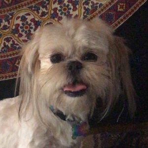 Meet your Posher, Vanessa